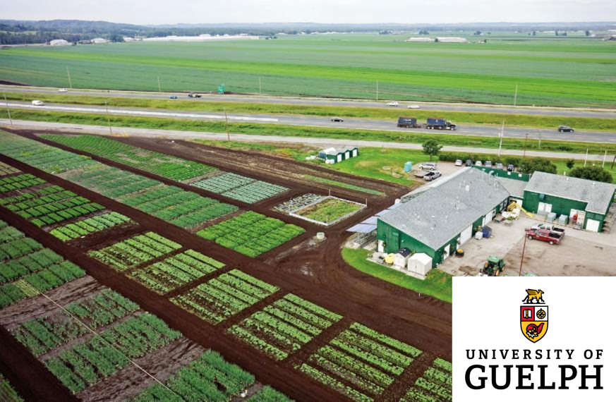 Aerial drone picture of the Muck Station